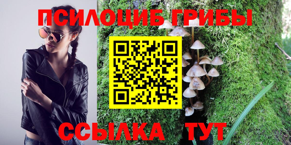 Заринск  Псилоцибиновые грибы GOLDEN TEACHER  Галлюциногенные грибы мицелий  Вход с VPN 