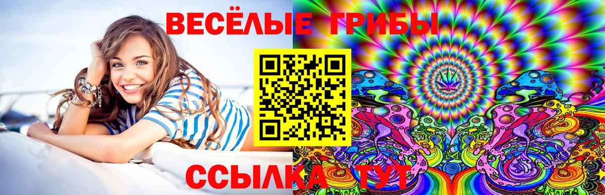 Псилоцибиновые грибы GOLDEN TEACHER Заринск